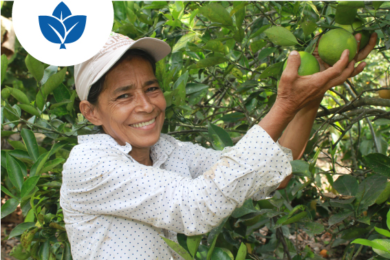 fortalecimiento-agricola-1